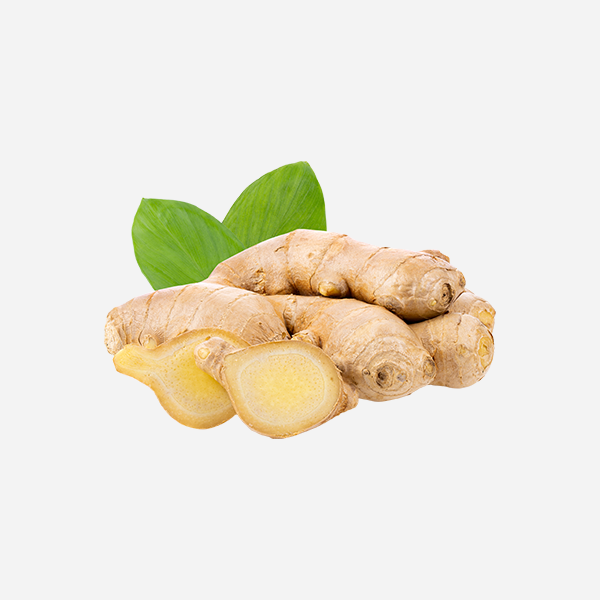Ginger