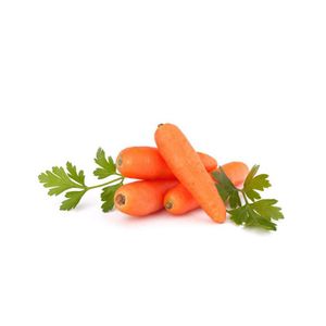 Carrot