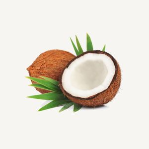 Coconut