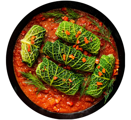 Food Dish-B