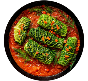 Food Dish-B