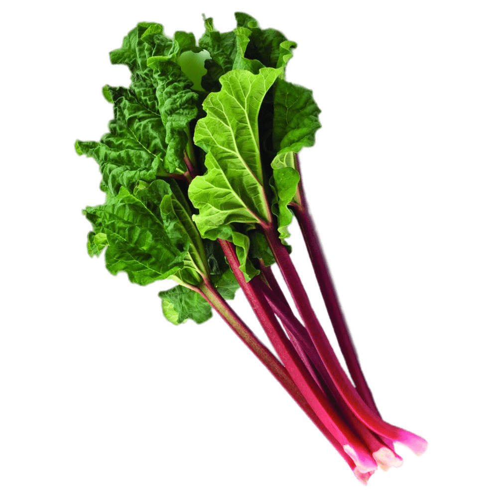 Test 777